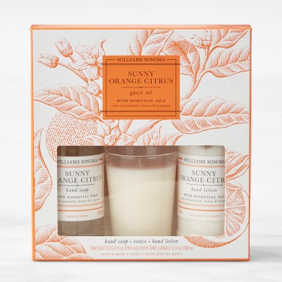 Williams Sonoma Sunny Orange Citrus Silver Deluxe Piece Gift Set