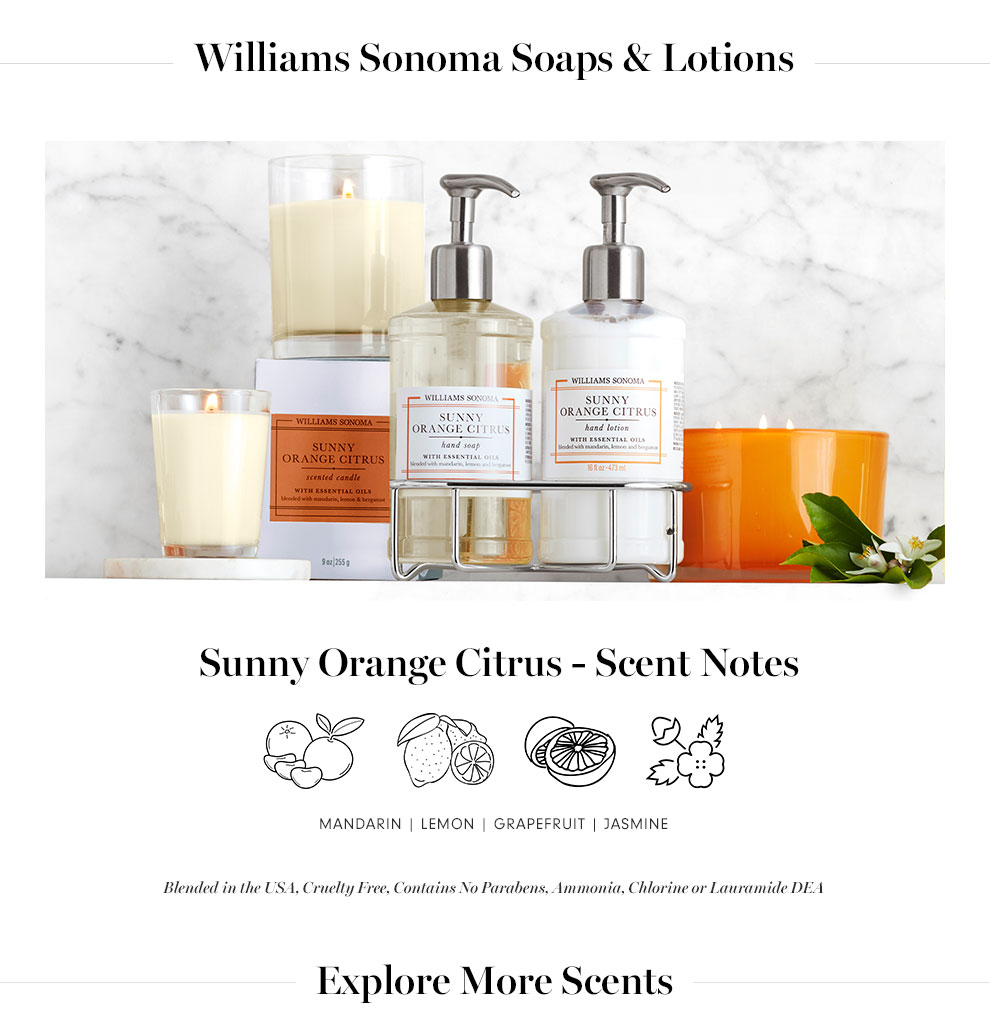 Williams Sonoma Sunny Orange Citrus Ultimate Deluxe Gift Set Williams