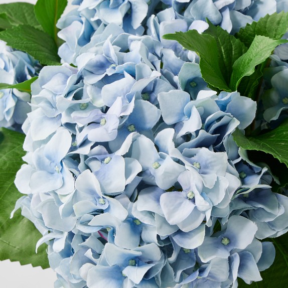 Faux Blue Hydrangea Arrangement In Glass Vase Williams Sonoma