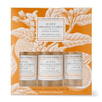 Williams Sonoma Sunny Orange Citrus Kitchen Essentials Kit Williams