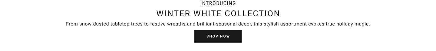 Shop the Winter White Collection