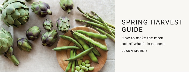 Spring Harvest Guide