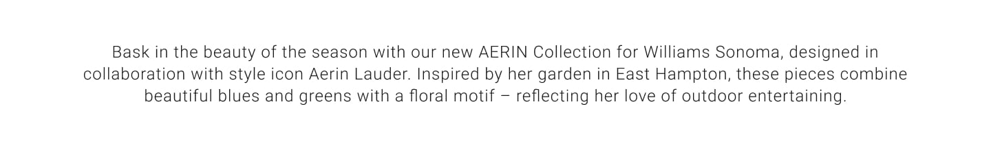 New AERIN Collection by Williams Sonoma