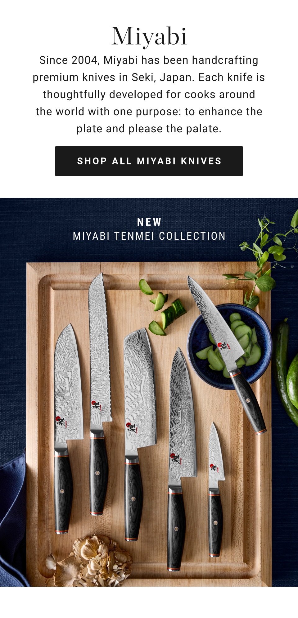 BRIESTAブリエスタ38灯　MIYABI NUTS OUTDOOR 91P3N5j82ZL._UF1000,1000_QL80_.jpg
