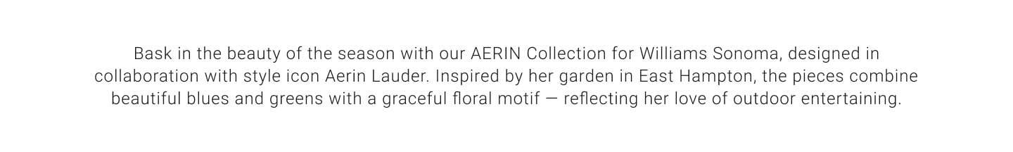 New AERIN Collection by Williams Sonoma