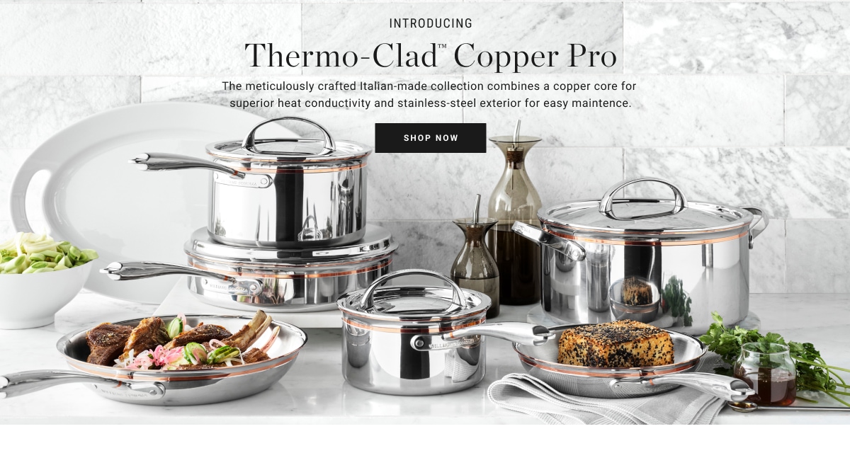 Shop Williams Sonoma Thermo-Clad Copper Pro