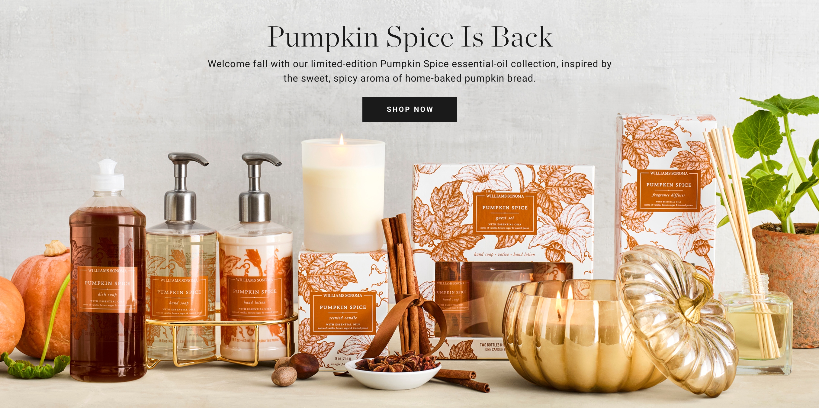Shop Pumpkin Spice Collection