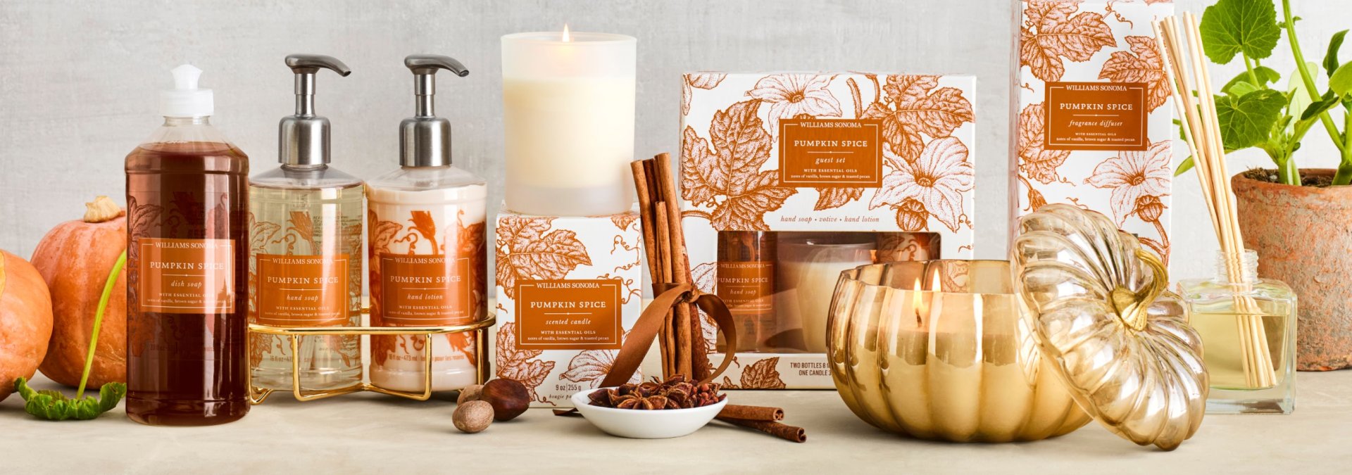 Shop Pumpkin Spice Collection