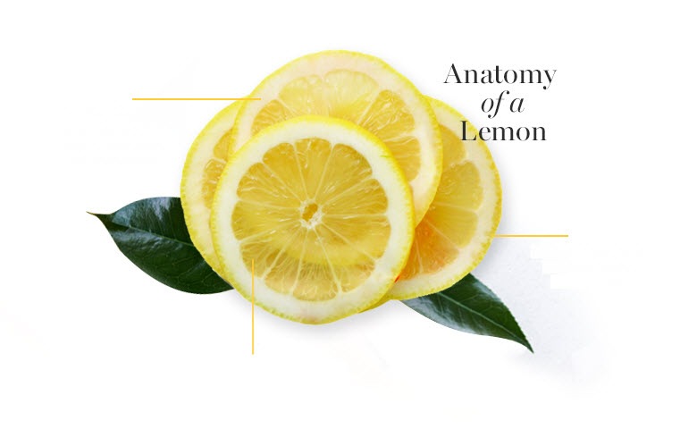 Anatomy of a Lemon