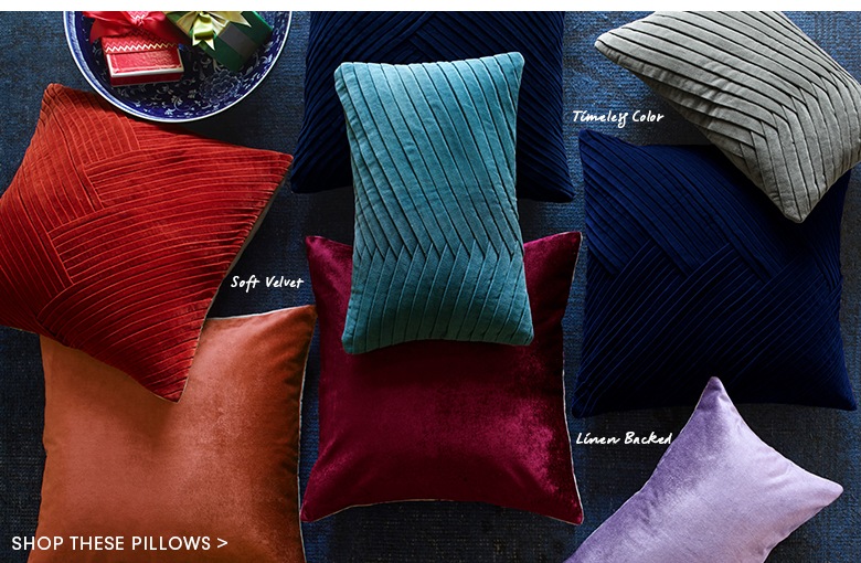 Shop These Pillows >