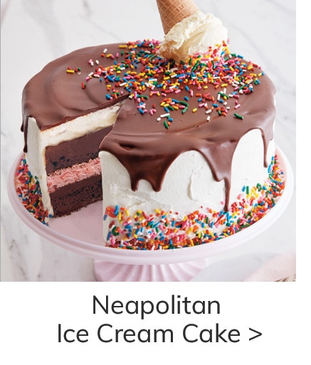 Neapolitan Ice Cream Cake >