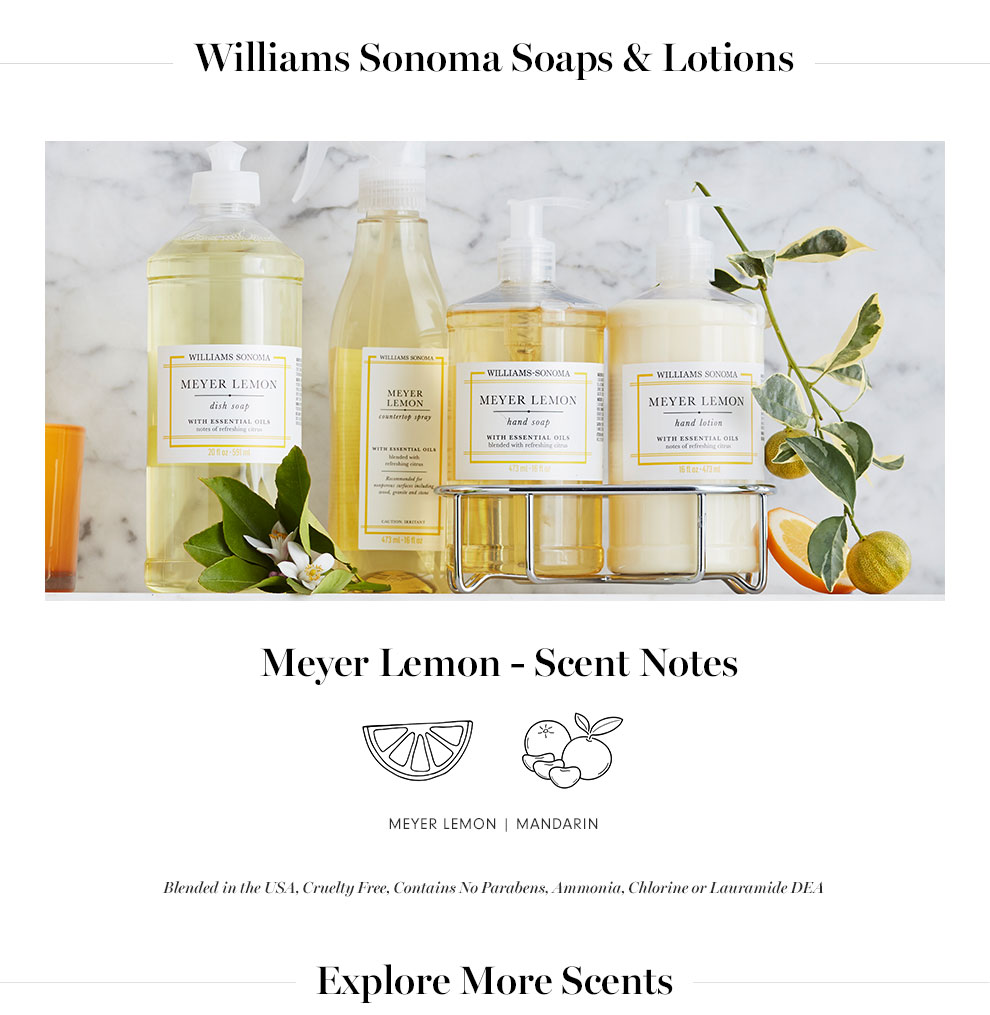 Williams Sonoma Meyer Lemon Hand Soap & Lotion Deluxe 5Piece Gift