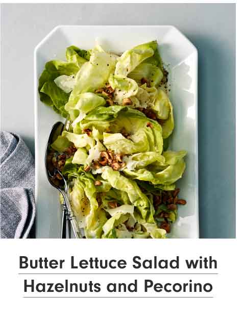 Butter Lettuce Salad with Hazelnuts and Pecorino