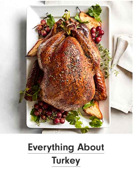 Everything About Turkey