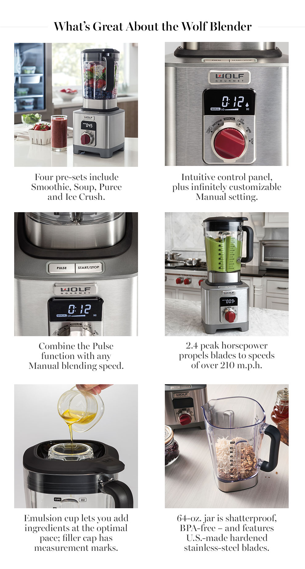 Wolf Gourmet Blender Williams Sonoma