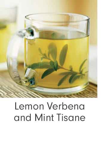 Lemon Verbena and Mint Tisane