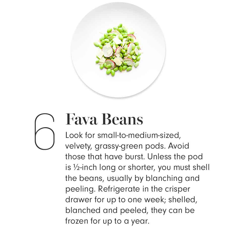 Fava Beans