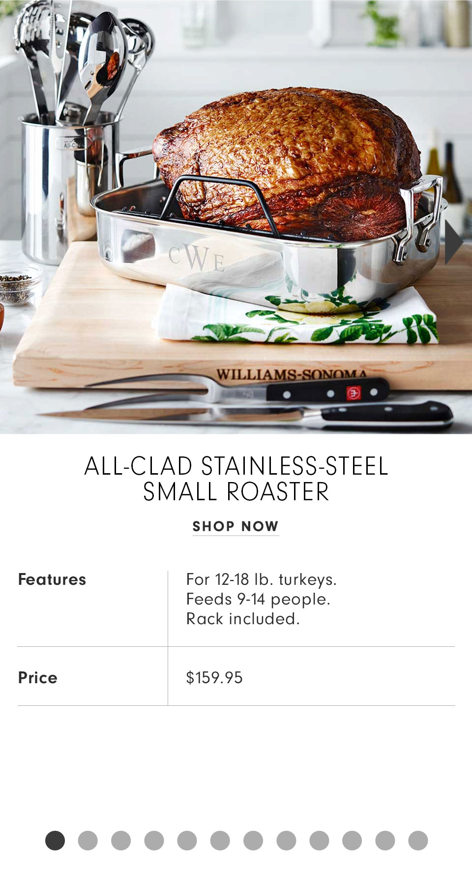 All-Clad Stainless Steel Small Roaster
