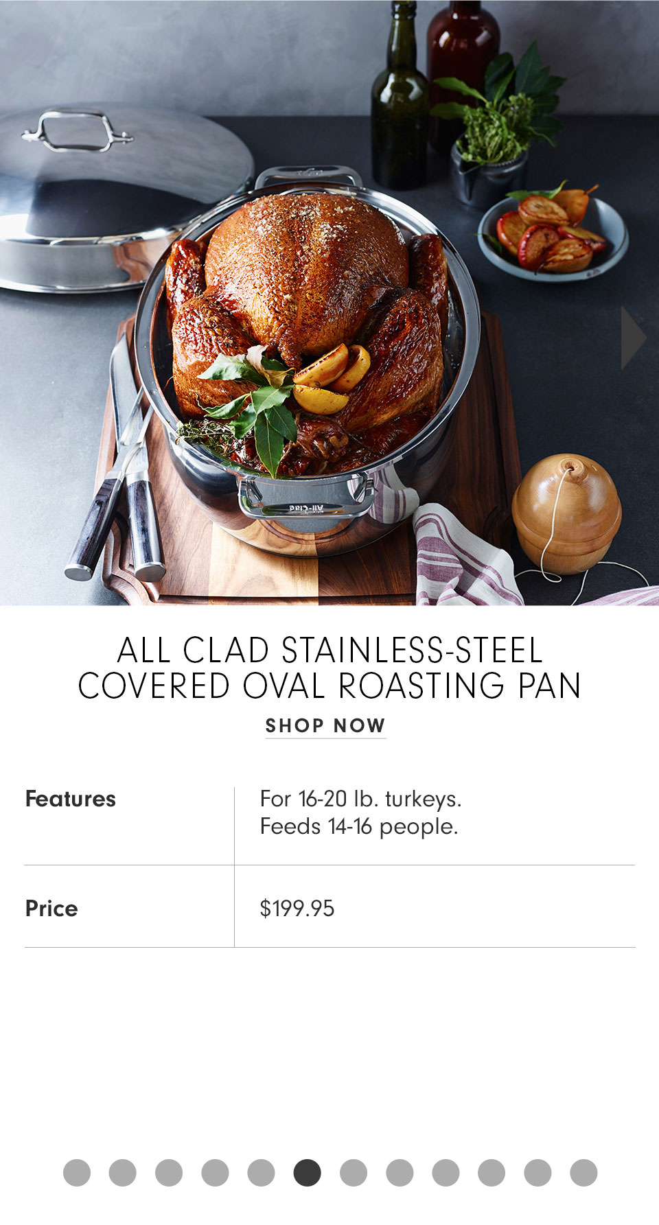 All-Clad Stainless Steel Oval Roaster