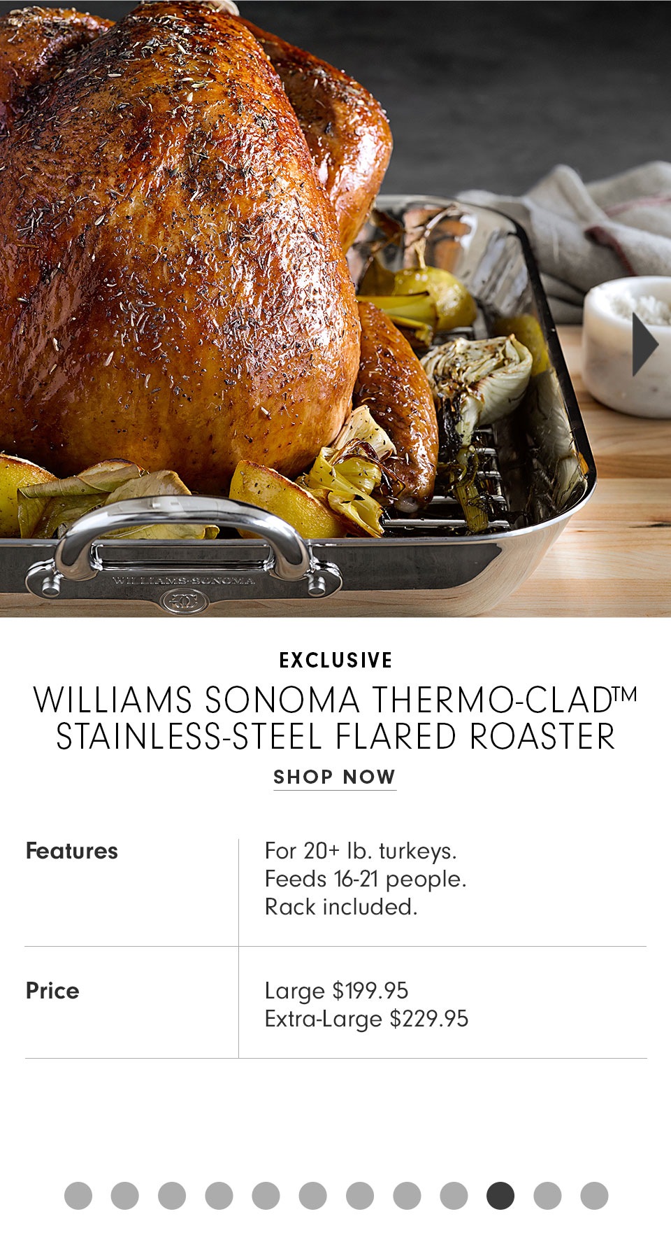Williams Sonoma Thermo-Clad Stainless Steel Flared Roaster