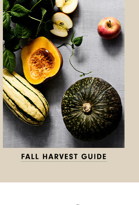 Fall Harvest Guide