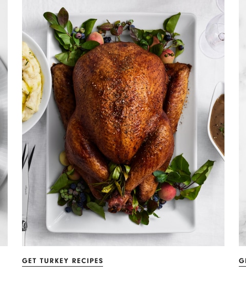 Get Turkey Recipes