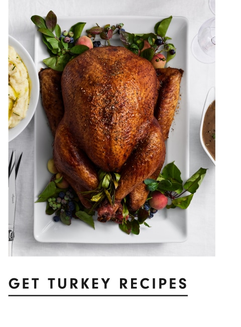 Get Turkey Recipes