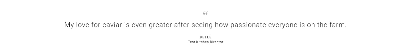 Belle - Test Kitchen Director
