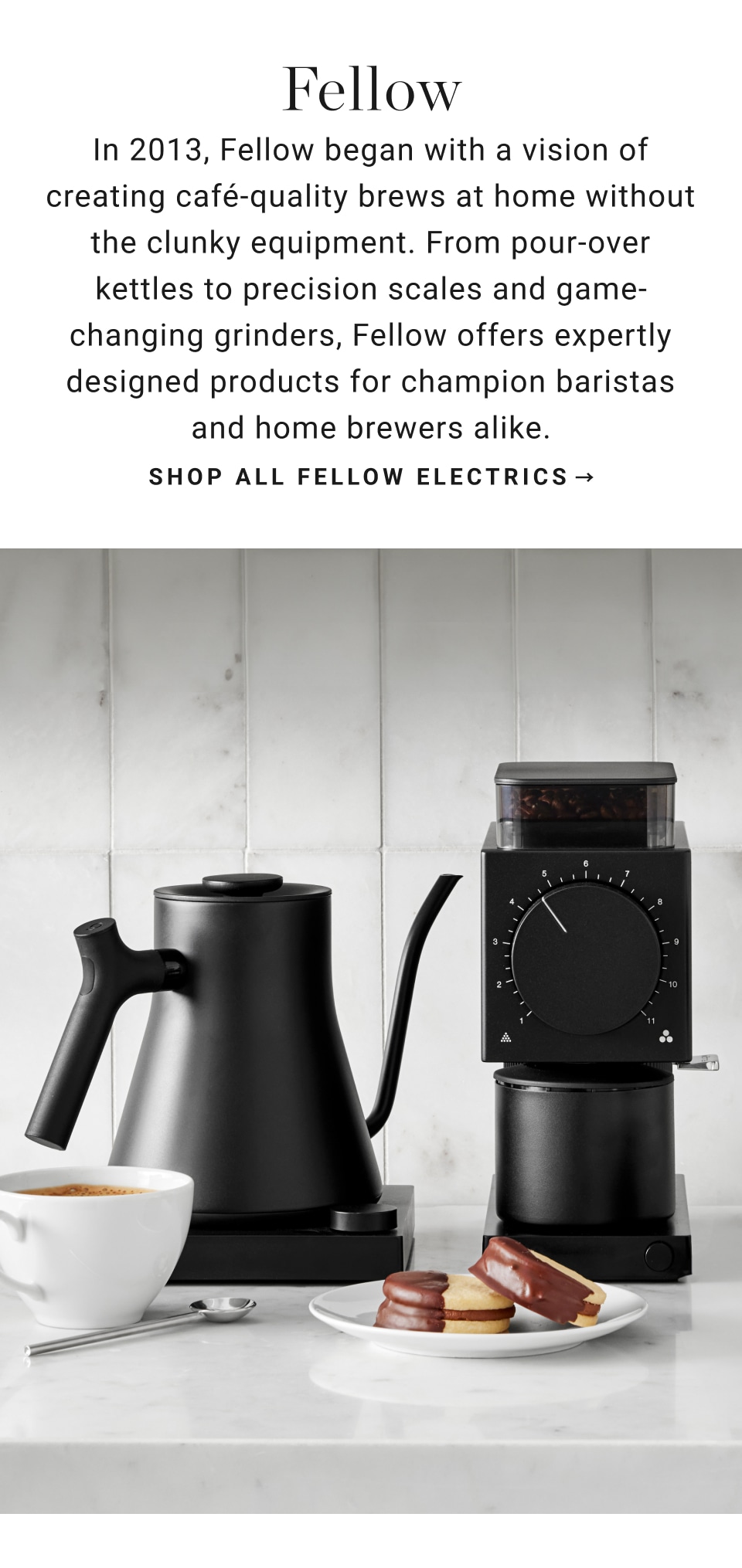 Williams sonoma store electric tea kettle