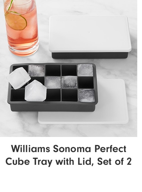 Williams Sonoma Perfect Cube Tray with Lid, Set of 2