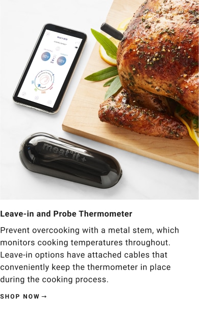 Leave-in and Probe Thermometer
