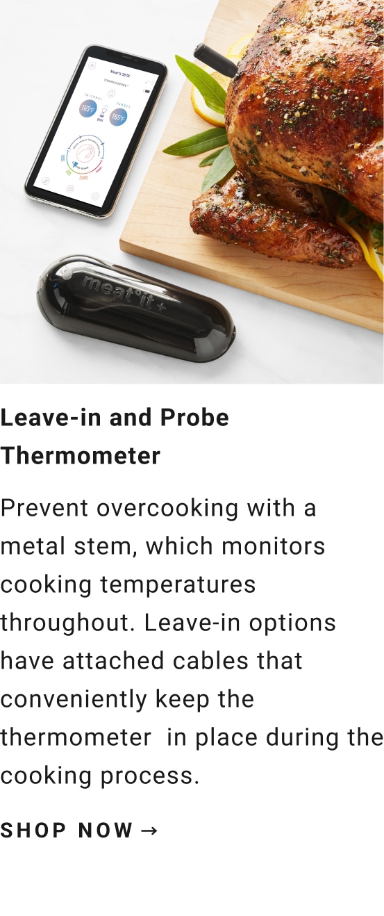 Leave-in and Probe Thermometer