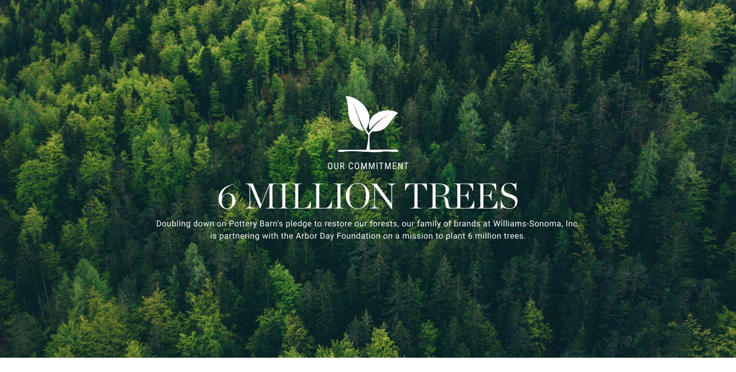 WSI's commitment to plant 6 million trees