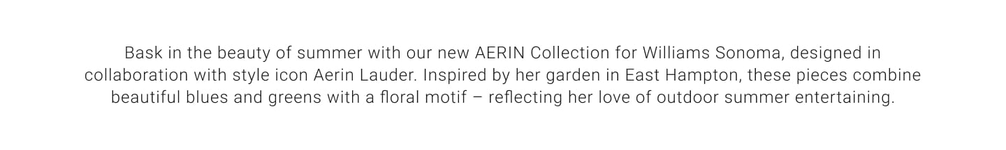 New AERIN Collection by Williams Sonoma