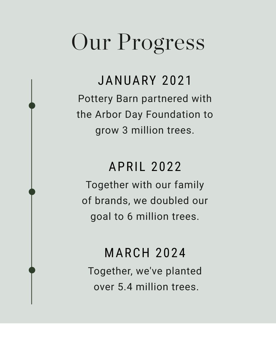 Our Progress