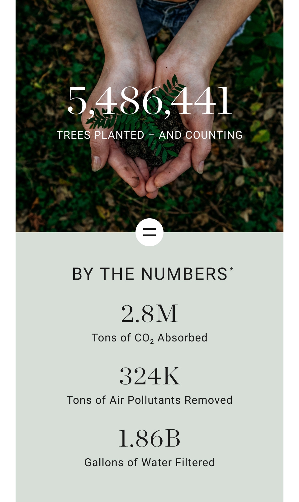 3,344,289 Trees planted - and counting