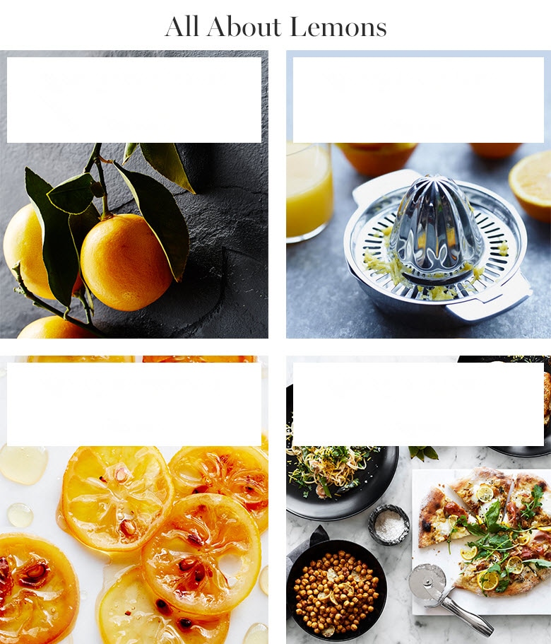 All About Lemons All About Lemons