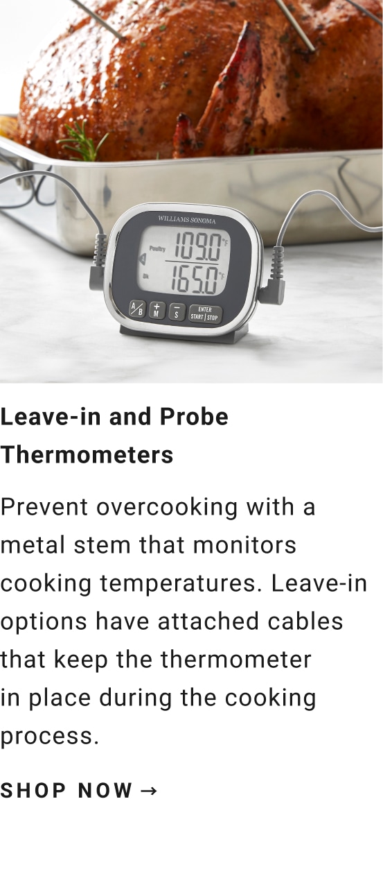 Leave-in and Probe Thermometer