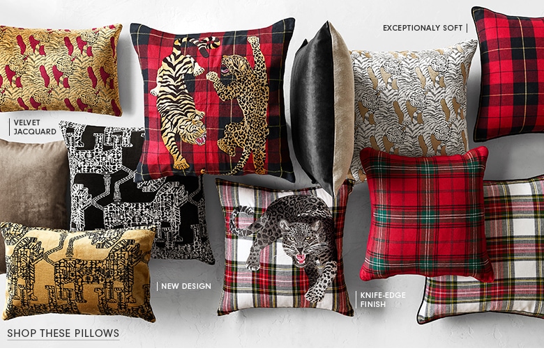 Shop These Pillows