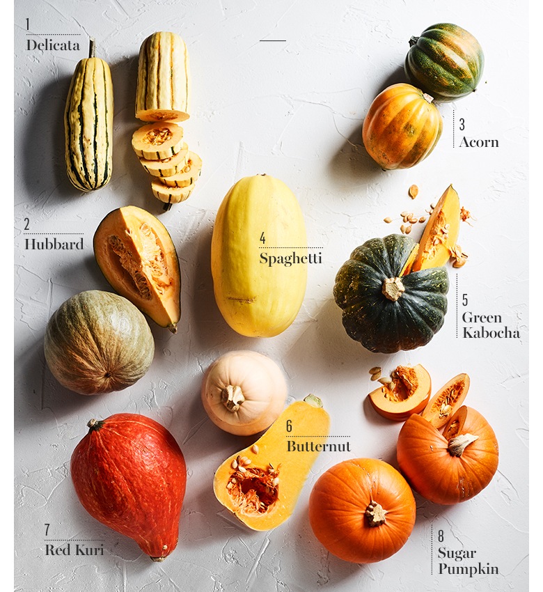 1-Squash 1-Squash