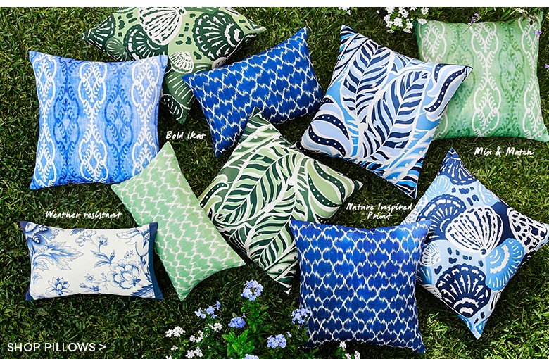 Shop These Pillows >