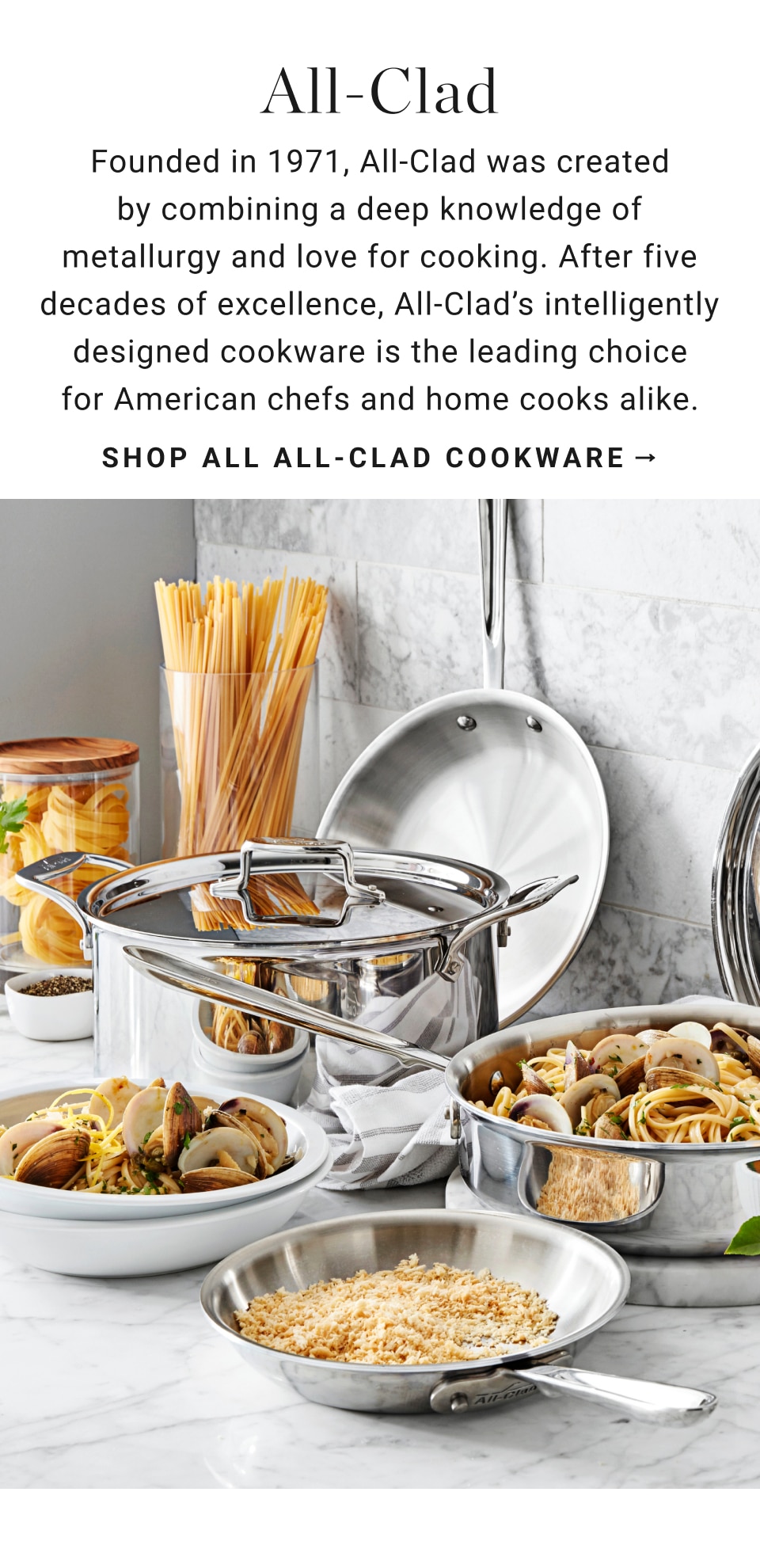 Oven Safe All-Clad | Williams Sonoma