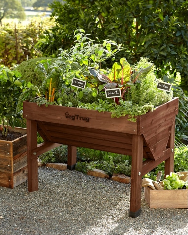 Raised Garden Beds