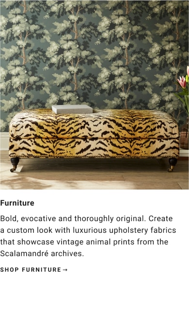 Shop Furniture