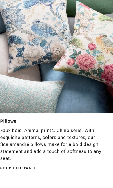 Shop Pillows