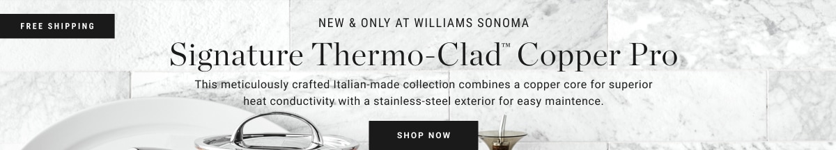 Shop Williams Sonoma Signature Thermo-Clad™ Copper Pro