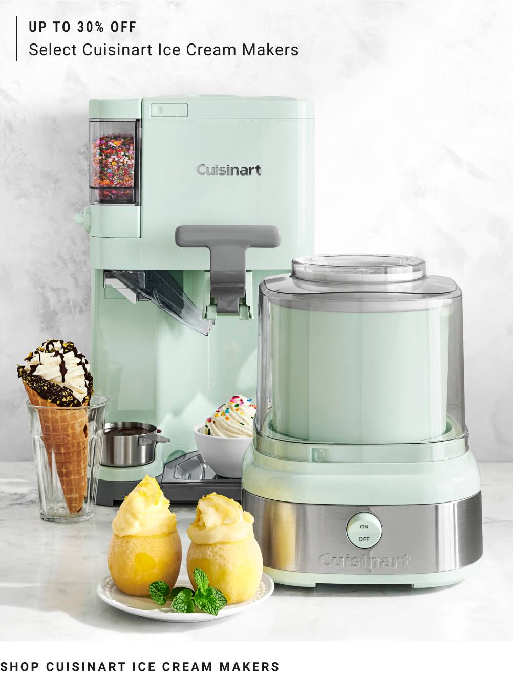 Shop Cuisinart Ice Cream Makers