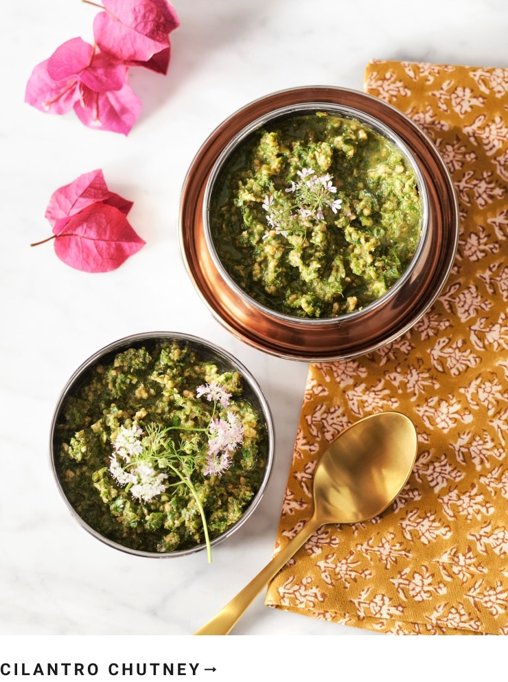 Cilantro Chutney