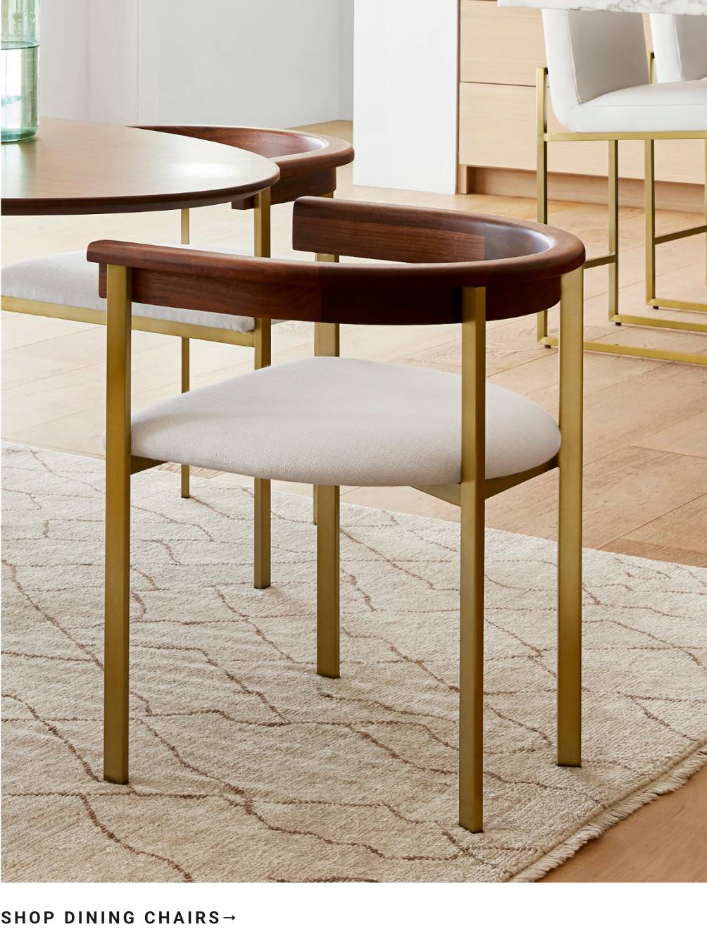 Shop Dining Chairs