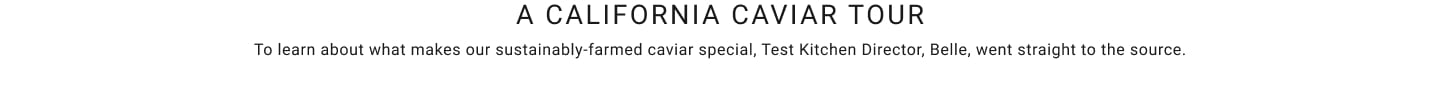 A California Caviar Tour